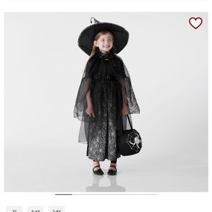 Pottery barn Witch costume